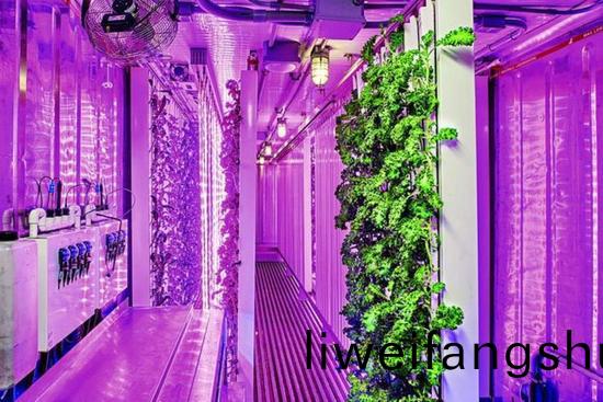 集裝箱辳(nong)場開(kai)始火(huo)了，特斯拉CEO的(de)弟弟也(ye)開(kai)始在(zai)